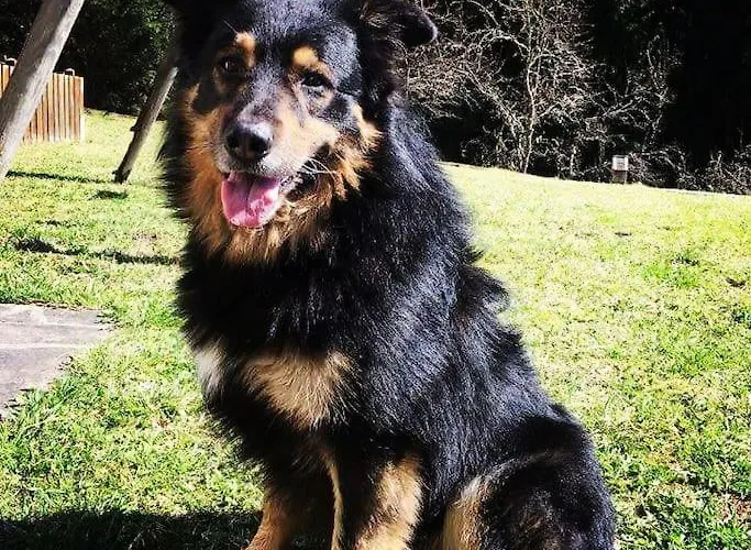 アパート Mountain