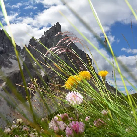Apartament Mountain