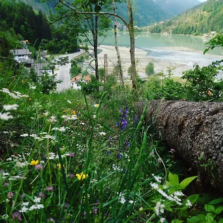 Mountain Alleghe